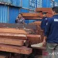 Kasus 3.000 batang kayu ilegal Jayapura dinaikkan ke penyidikan