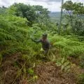 Kehidupan regeneratif mewujudkan tanah dan ruang sehat