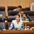 Dyah Roro Esti: Subsidi listrik harus tepat sasaran