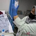 Indonesia records 799 dengue deaths as of week 23, cases top 2023