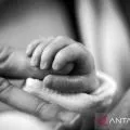Bayi kembar di Palestina meninggal akibat kedinginan