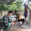 Satgas Yonif 503 ajak masyarakat perbaiki Sekolah Rimba di Nduga