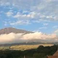 TNGR selidiki aktivitas penebangan pohon di kawasan Gunung Rinjani