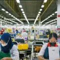 Mengatasi konflik bersenjata dengan kebijakan ekonomi
