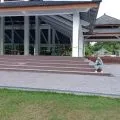 Plafon aula RTH Pagutan Mataram dipasang untuk beri nilai estetika