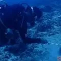 BKKPN Kupang pastikan pencabutan izin TCN di Gili Trawangan sudah sesuai prosedur