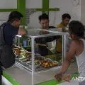 Indef ingatkan pemerintah berhati-hati buat regulasi soal PPN 12 persen