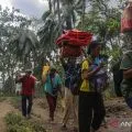 BNPB  adds evacuation sites for victims of Mt Lewotobi eruption
