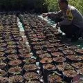 Polisi di Mataram dorong kelompok tani tetap produktif