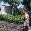 Polisi di Mataram manfaatkan lahan kosong untuk tanam sayur