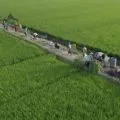 Menjaga asa di tengah tantangan badai PHK