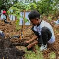 Indonesia intensifies reforestation push to meet climate targets