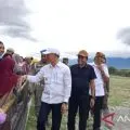 Sigi dorong pelestarian budaya lokal melalui lomba karapan sapi