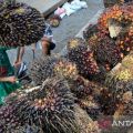 Indonesia menang sengketa perdagangan biodiesel lawan Uni Eropa di WTO