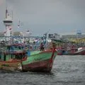 HNSI Kepri dukung kebijakan KKP terkait VMS