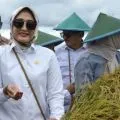 Dapur Program MBG perlu gandeng UMKM sebagai pemasok