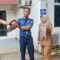 Disdamkarmat Batam berhasil evakuasi ular berbisa dari kantor Dinsos PM