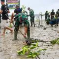 Kodim 0318 Natuna tanam 500 benih mangrove di Pering