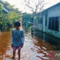 Sungai Siak meluap, 14.200 jiwa terdampak banjir di Pekanbaru