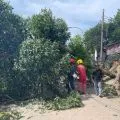 BMKG mendeteksi adanya pergerakan angin puting beliung di wilayah Kepri