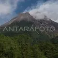 Merapi luncurkan tujuh guguran lava hingga 1,8 km