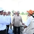 Ajak kerja untuk rakyat, Presiden Prabowo tak soal warna partai kepala daerah