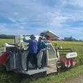 Nilai tukar  petani Sumsel naik 1,24 persen pada Maret 2025