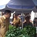Disdagrin: Harga cabai merah besar di Manggarai Barat naik