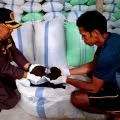 Karantina Kepri sertifikasi 69 ton cengkeh kering tujuan Jakarta