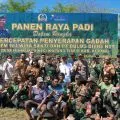 Danrem 161/Wira Sakti panen raya padi dukung swasembada pangan pangan