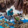 Tata ulang skema KUR dan penghapusan piutang macet demi UMKM naik kelas