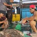 Pemprov Papua fokus terapkan lima program kembangkan perikanan