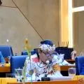DPR mengusulkan ada penghargaan & hukuman ke daerah soal Program Genting