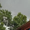 Kabel fiber optik internet semrawut di Lombok Tengah ditertibkan