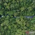 Satu Peta Kehutanan jamin kepastian hukum dan dorong investasi