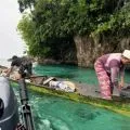 Ikan hasil tangkapan pakai bahan peledak tidak layak konsumsi