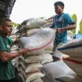 Mengukir sejarah baru perberasan Indonesia