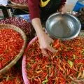 Harga pangan hari ini bawang merah Rp39.037/kg, daging ayam Rp35.658/kg