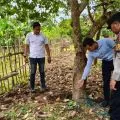 Warga Lombok Barat tewas tergantung di pohon jambu mete