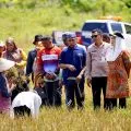 Pemkab Natuna tetapkan 342,63 ha sebagai lahan pertanian pangan