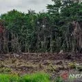 Pemkab Natuna matangkan lahan 1,9 hektare program penataan kawasan kumuh