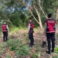 Polres Karimun gencarkan patroli antisipasi kebakaran hutan