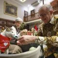 PM Australia beri kalung syal kucing Prabowo