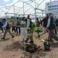 Produksi bibit di Persemaian Mandalika ditargetkan 1,5 juta