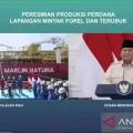 Presiden resmikan produksi perdana 2 lapangan migas di Natuna
