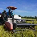 Korem 161 bersama Bulog NTT panen padi di Kabupaten Kupang