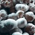 Biak pastikan kebutuhan bahan pokok Idul Adha mencukupi
