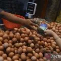 Harga pangan hari ini, telur ayam Rp29.193/kg, bawang merah Rp37.049/kg