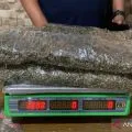 BNNP NTB ungkap pengiriman paket ganja dari Medan ke Lombok Timur