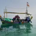 PHE ONWJ rehabilitasi ekosistem terumbu karang